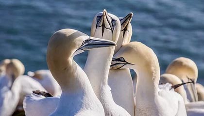 建设工业：积极响应共建一带一路倡议，深度融入一带一路建设