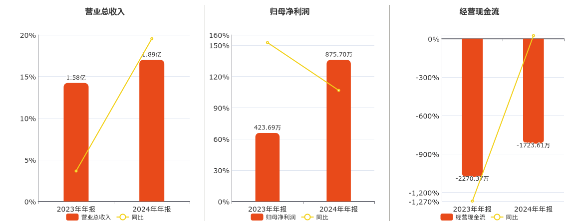 丰华股份(600615.SH)：2024年年报净利润为875.70万元