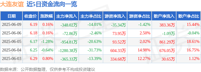 股票行情快报：大连友谊（000679）6月9日主力资金净卖出348.02万元