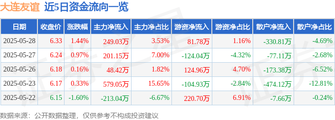 股票行情快报:大连友谊(000679)5月28日主力资金净买入249.03万元
