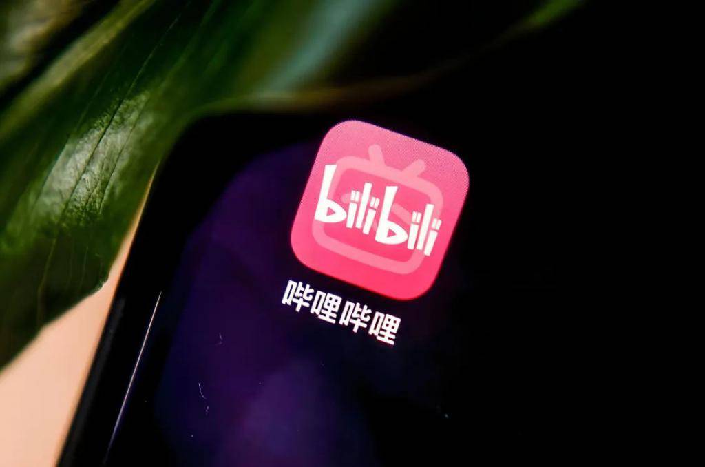 B 站,也选择“骑驴找马”