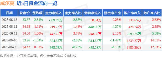 股票行情快报：威尔高（301251）6月13日主力资金净卖出369.99万元