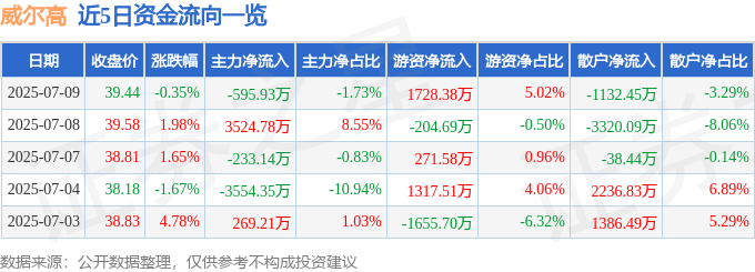 股票行情快报:威尔高(301251)7月9日主力资金净卖出595.93万元