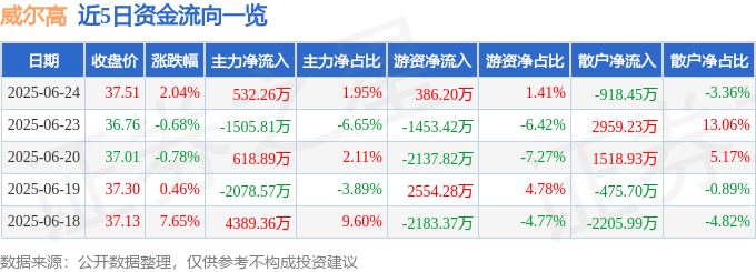 股票行情快报：威尔高（301251）6月24日主力资金净买入532.26万元