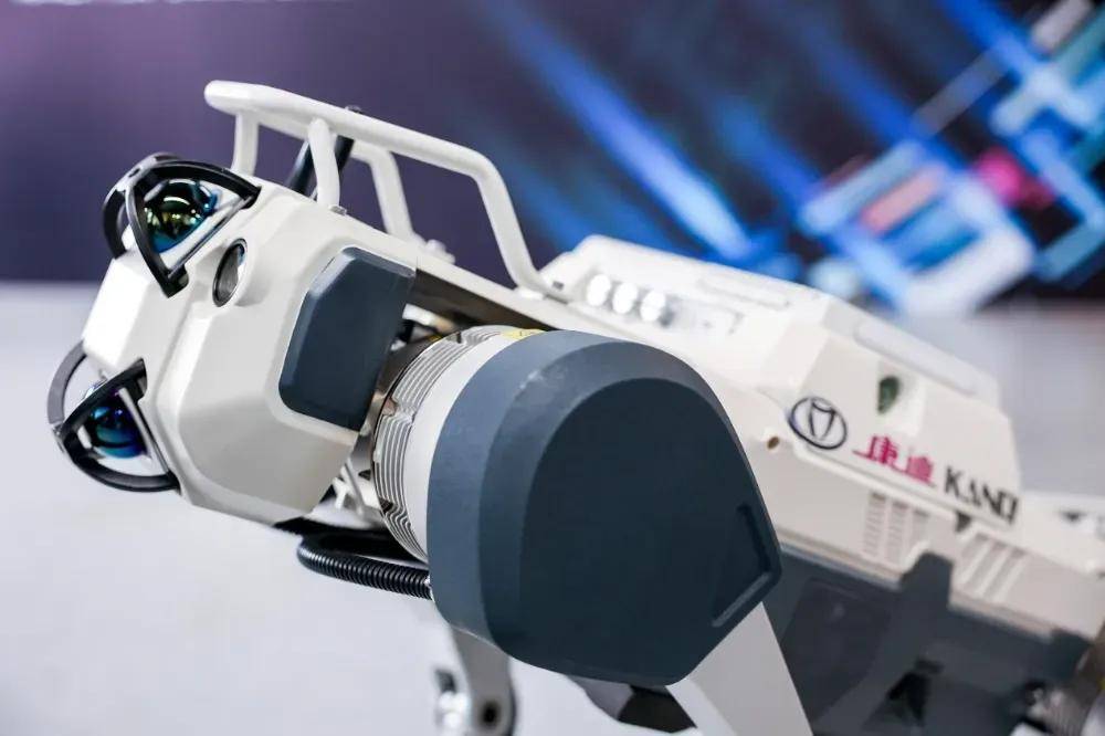 年入1亿美金，这家浙江公司把高尔夫球车，做成美国人的代步工具