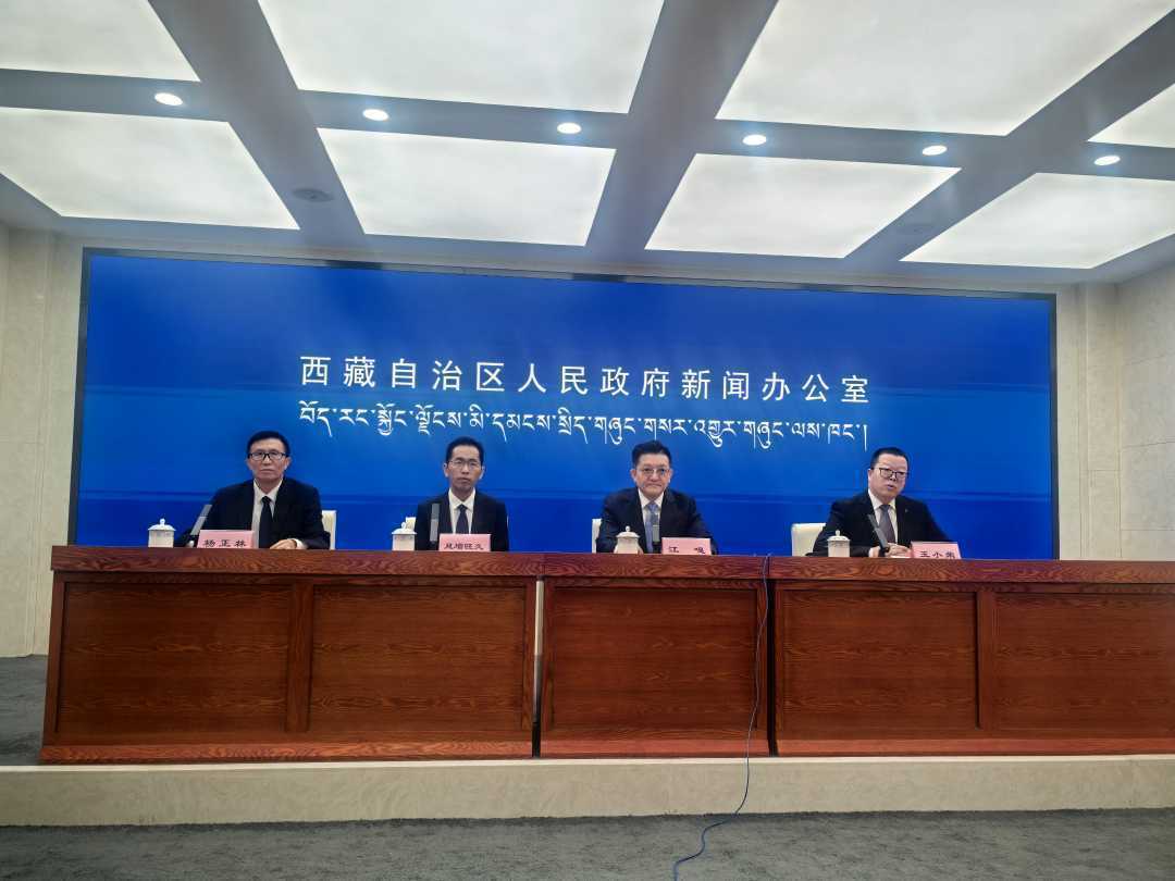 西藏山南:发展动能加速转换