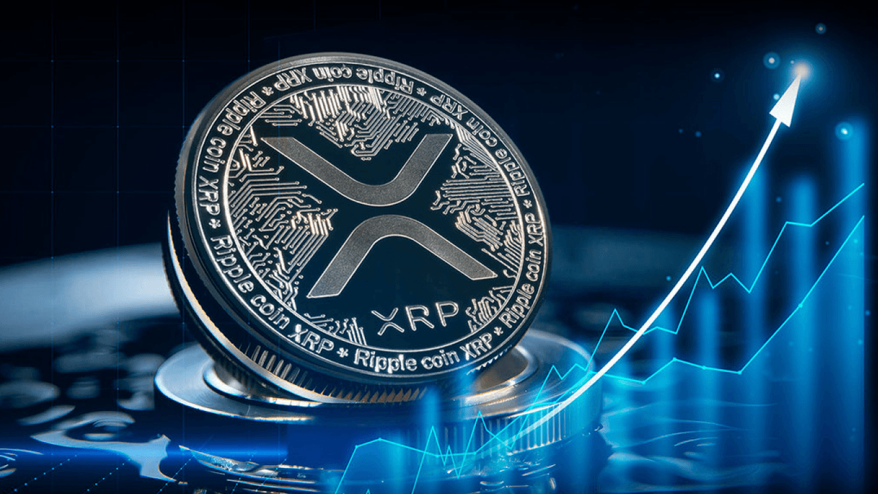 关于XRP-瑞波币app的信息 关于XRP-瑞波币app的信息